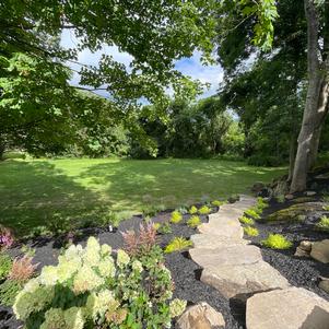 Landscape Installation