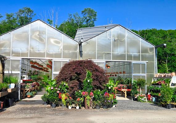 Our Greenhouses