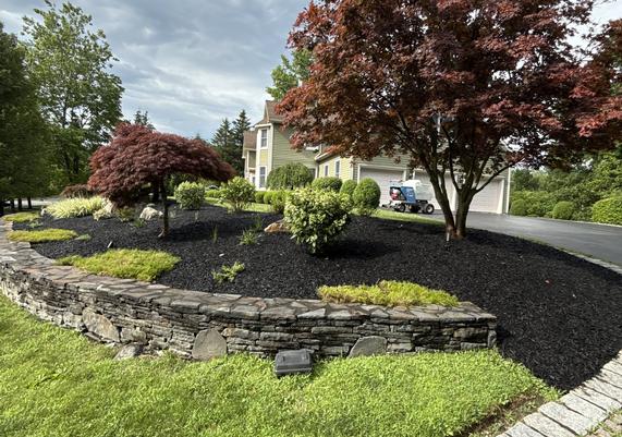 Japanese Maple & Stone Wall Garden