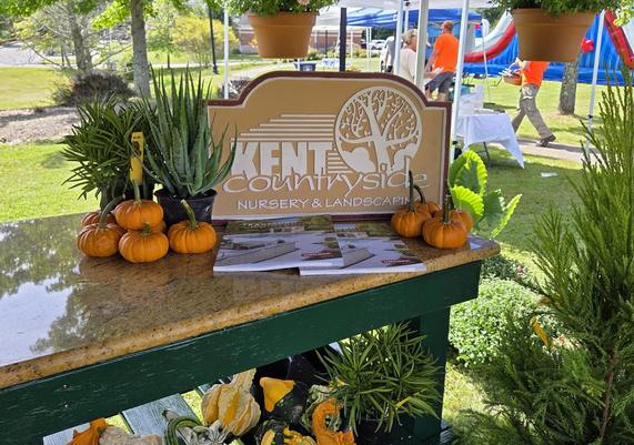 Kent Countryside welcome stand with fall mums and pumpkins