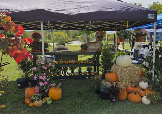 Mums, pumpkins and hay bales at the Kent Countryside booth