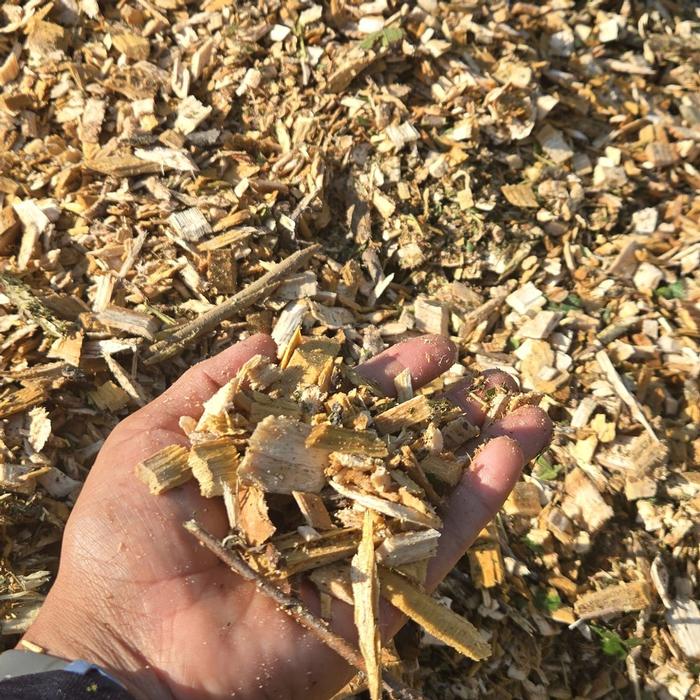 Wood Chips