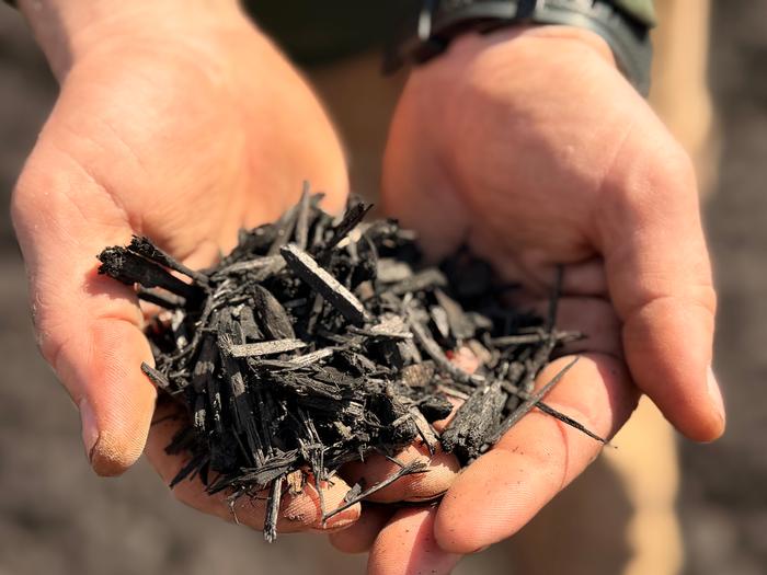 Black Mulch