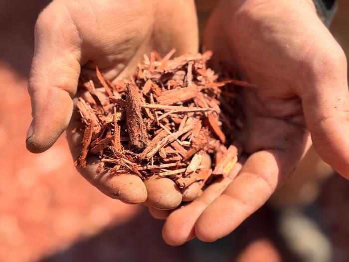 Red Mulch