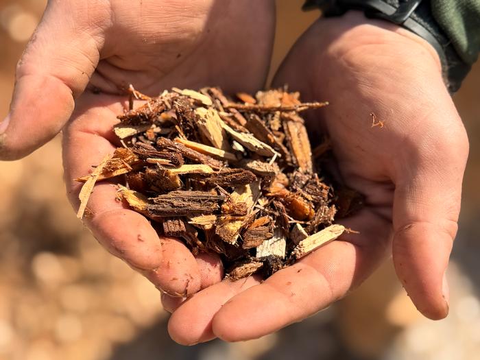Playground Mulch