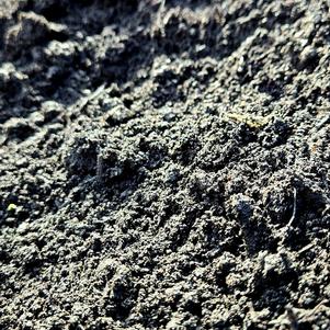 Topsoil & Compost Layered Delivery