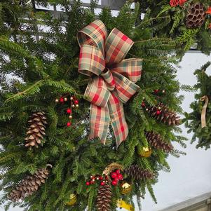 Fresh evergreen wreath decorated with a red bow, pinecones, and berries