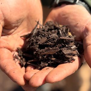 Dark Brown Mulch