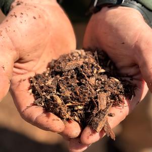 Natural Brown Mulch