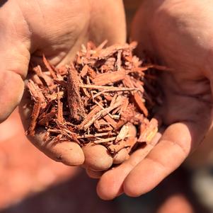 Red Mulch
