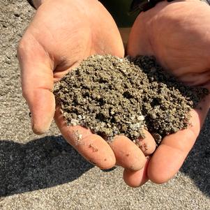 Washed Concrete Sand