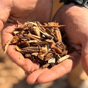 Playground Mulch